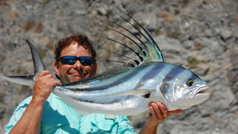 ROOSTERFISH