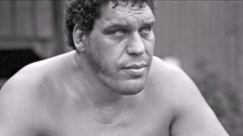 Andre the Giant