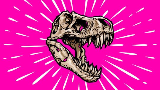 Are You a T-Rex, Triceratops or Velociraptor, Based on Your Myers-Briggs Personality?