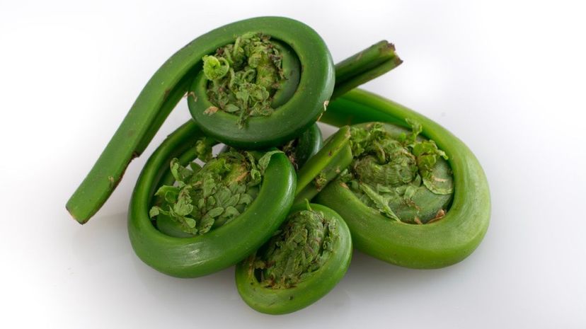 Vegetable, fiddlehead