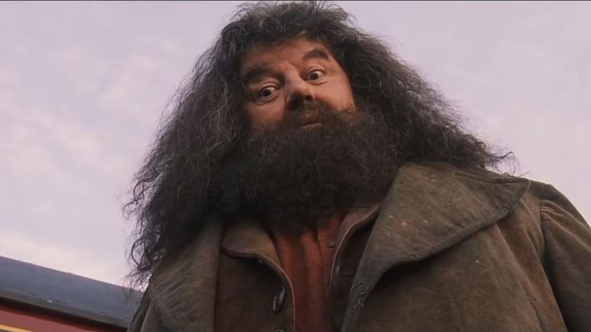 Acceptable Hagrid