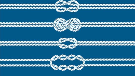 96% of people can't name all of these knots from one picture! Can you?