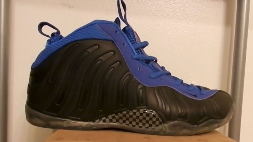 Nike Foamposite One Sole Collector