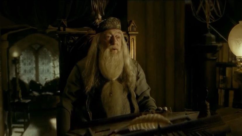 Albus Dumbledore7