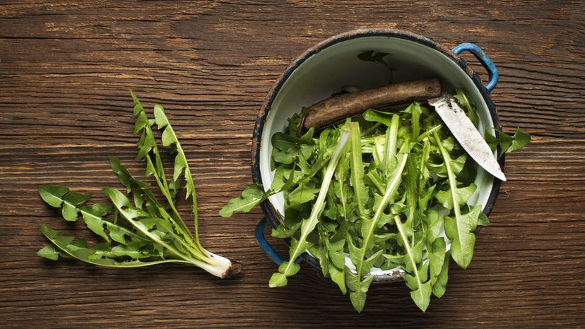 Dandelion Greens