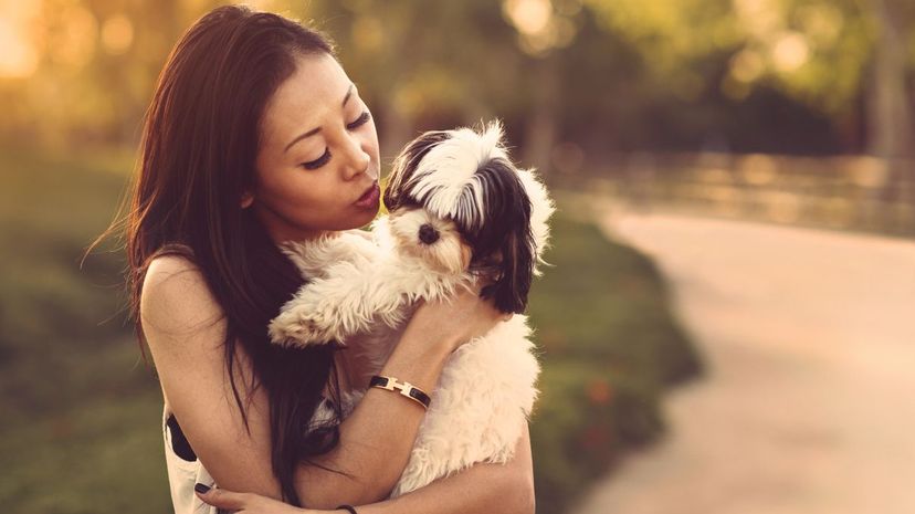 What Kind of Dog Parent Are You?