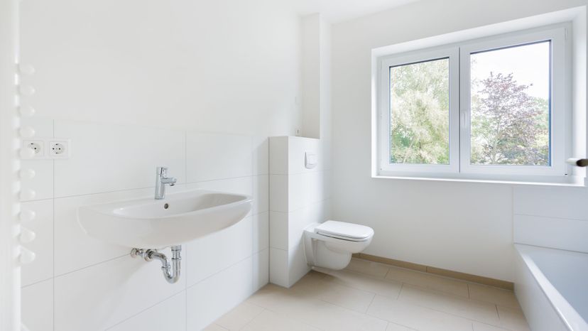 pneumatic (pneumatic-powered toilet)