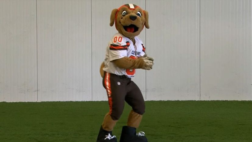 NFL Mascots Quiz - Guess the Football Team 