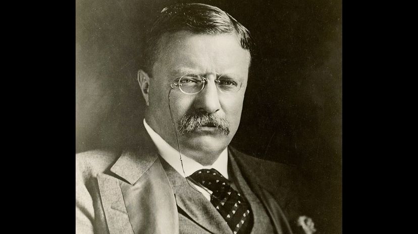 Theodore Roosevelt