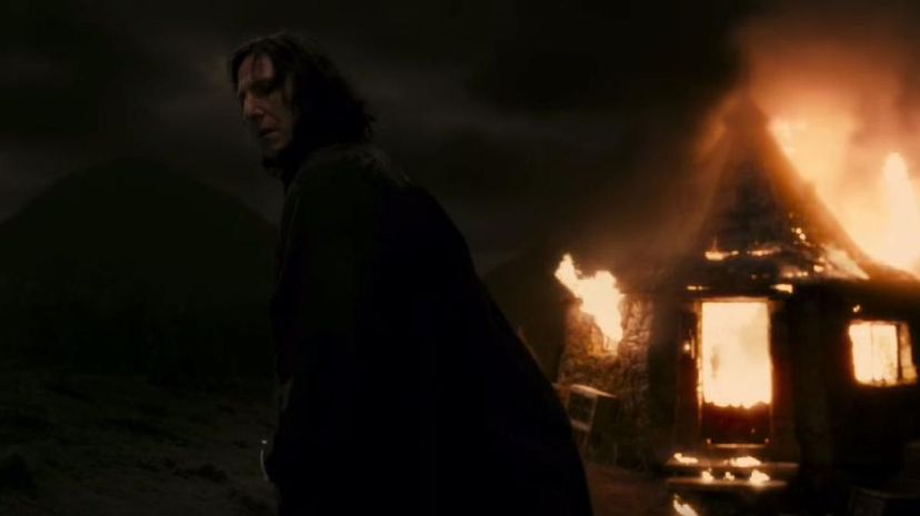 Snape - Half Blood Prince