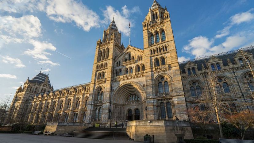 Natural History Museum