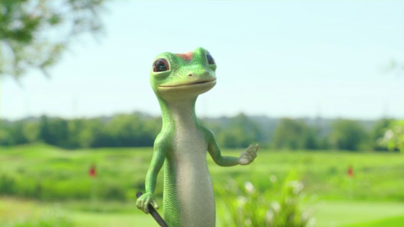 Geico Gecko