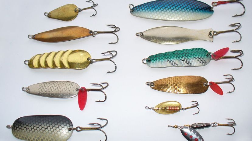 Display of many different types on cork board - LURELOVERS Australian  Fishing Lure Community