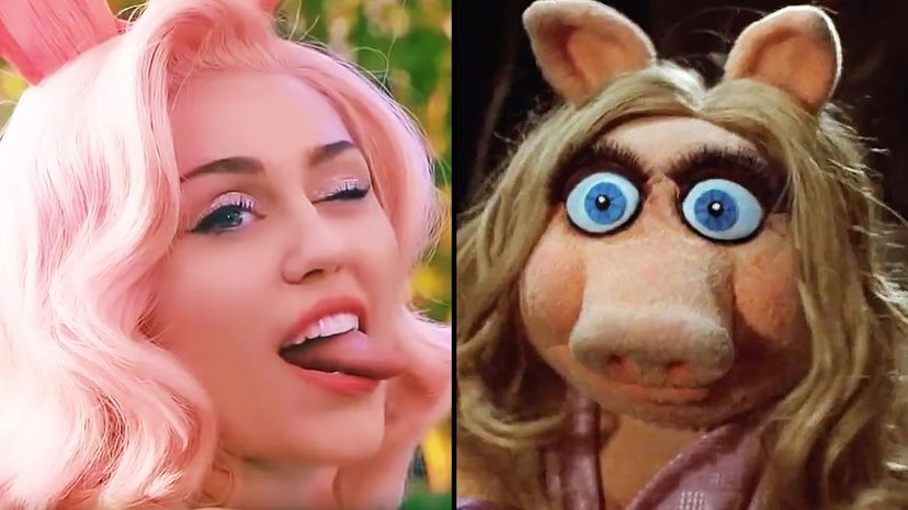 Who Said It: Miley or Miss Piggy?