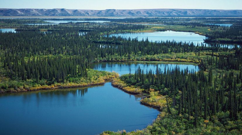 21 - Mackenzie River