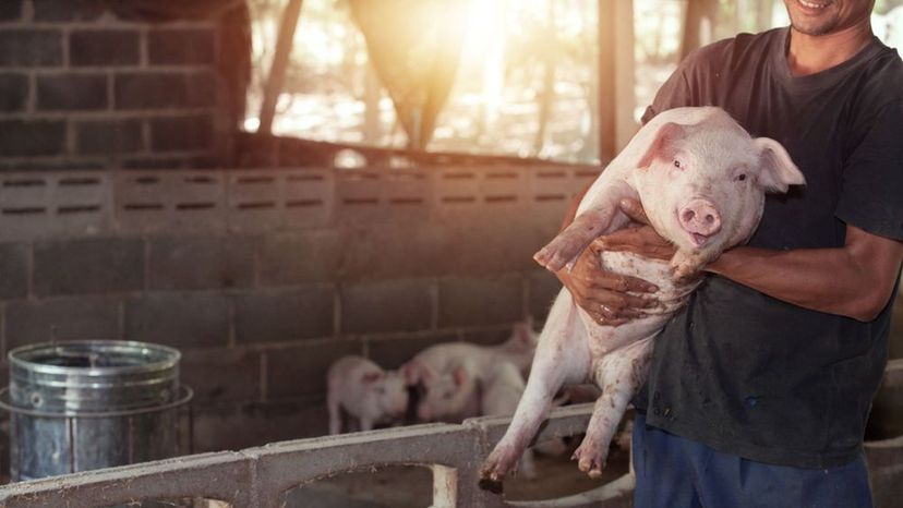 ¿Puedes identificar toda esta maquinaria agrícola?