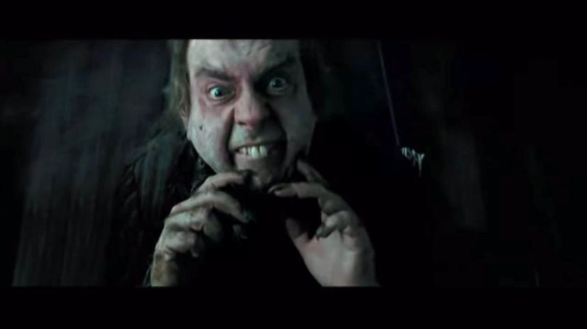 Peter Pettigrew