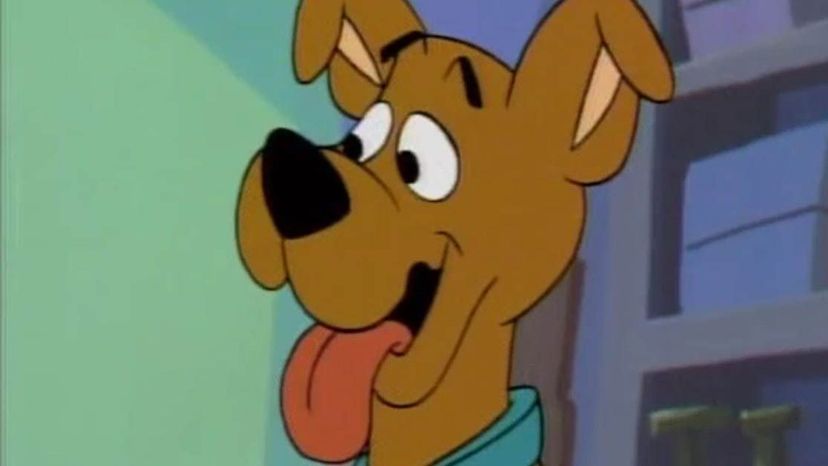 Scooby-Doo- A Pup Named Scooby-Doo