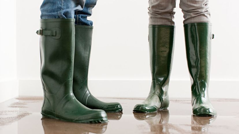 30 Wellington boots