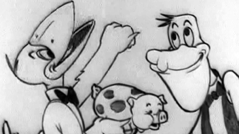 The Adventures of Paddy the Pelican