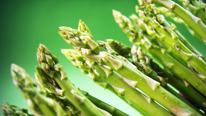 Asparagus shoots