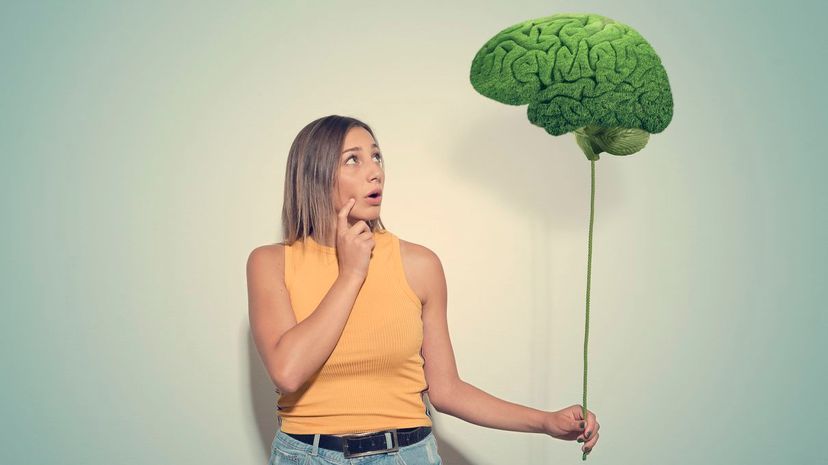 Calculate Your Brain's Age With This Test