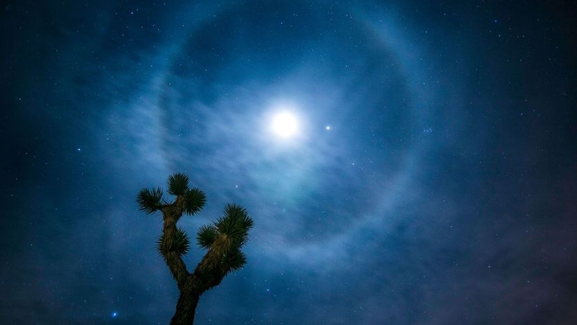 Halo