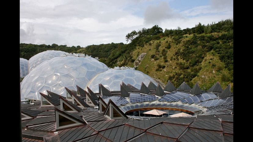 The Eden Project