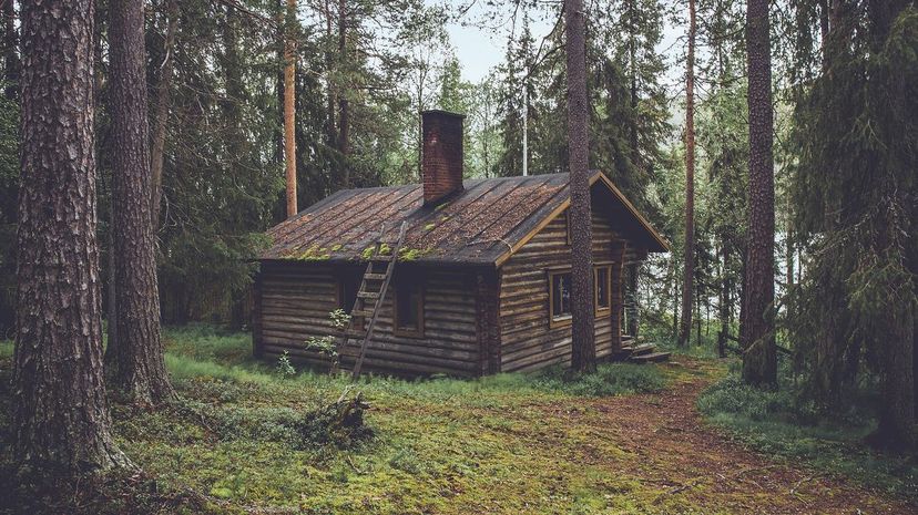 Q 05 Cabin in the woods