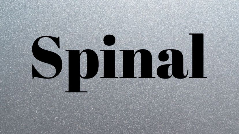 Spinal (Plains)