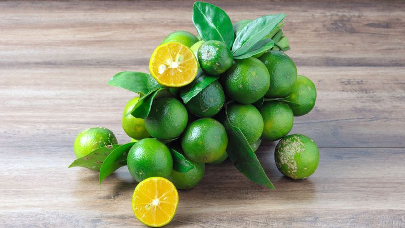 Calamansi