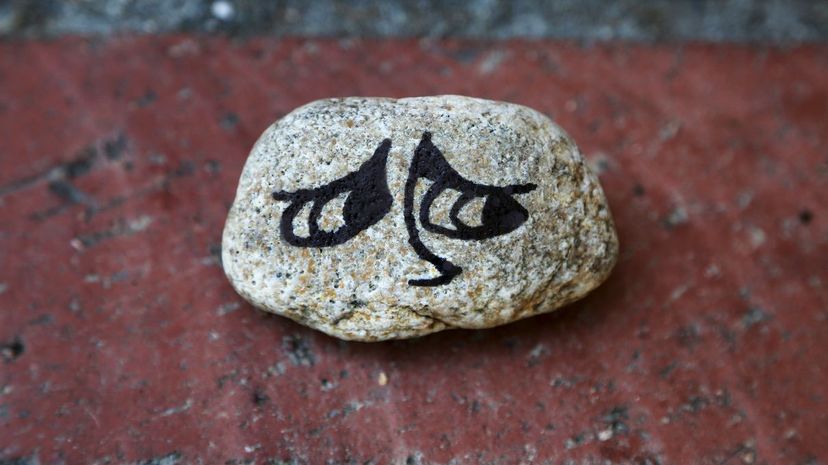 Q7 Pet Rock