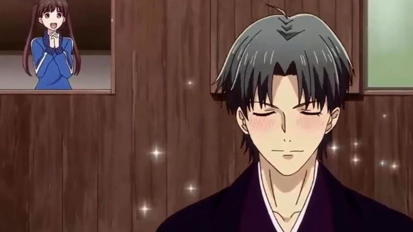 Which Fruits Basket Character Are You?