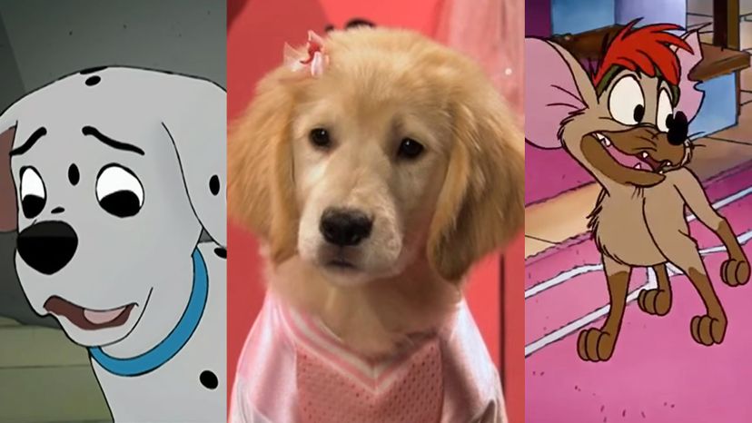 Can You Name These Disney Dogs Just From An Image?