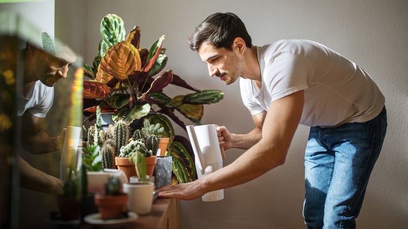 Man watering plants