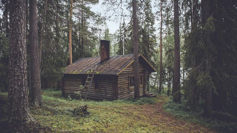 Cabin