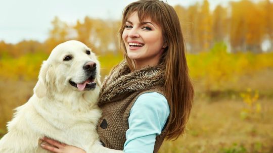 Which Dog Breed Is Your Soul-Pet?