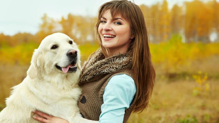 Which Dog Breed Is Your Soul-Pet?