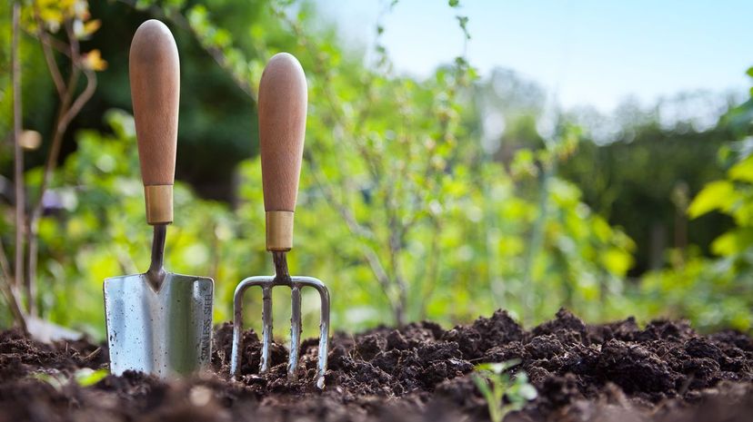 Q12 - gardening hand tool