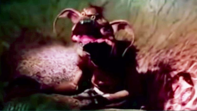 Salacious Crumb