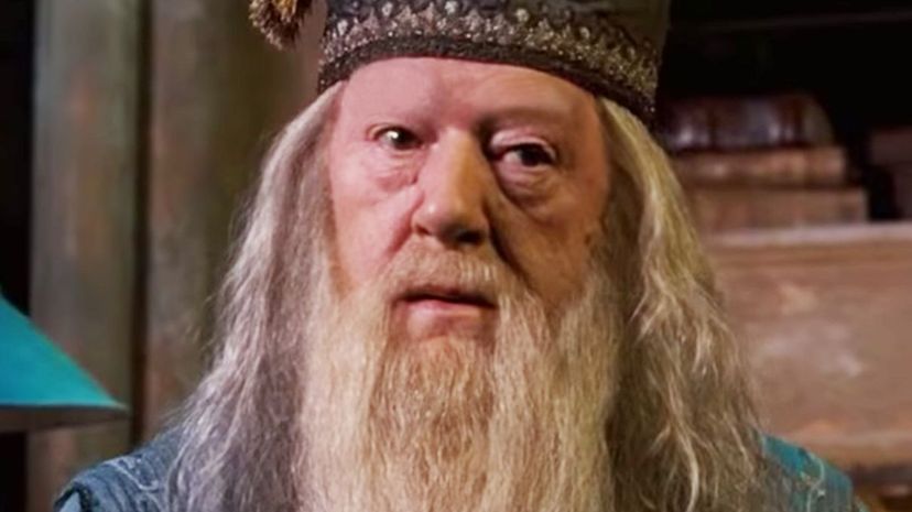 Professor Dumbledore