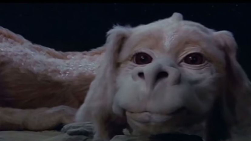 The Neverending Story (Falkor)