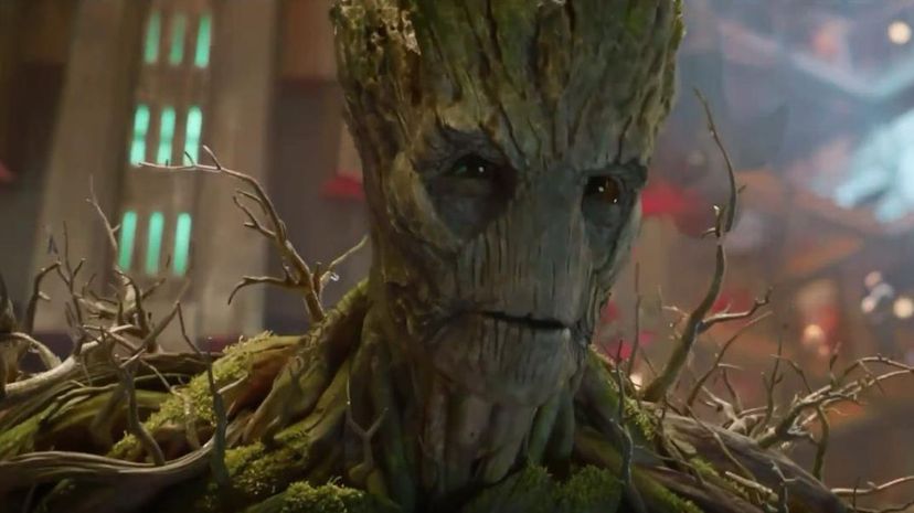 Groot