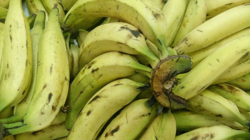 Plantain