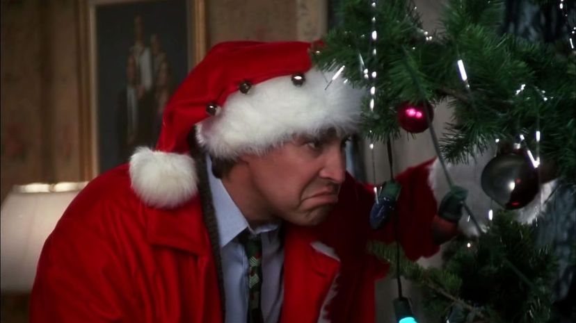 Which Character from "National Lampoon's Christmas Vacation" are You?