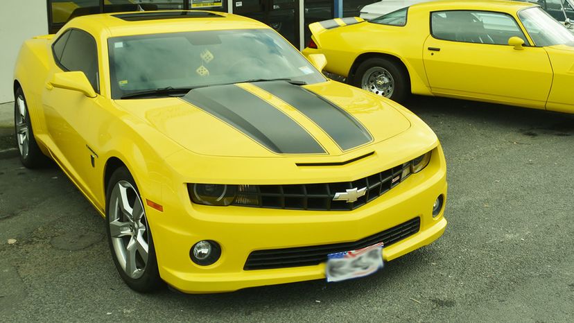 Bumblebee