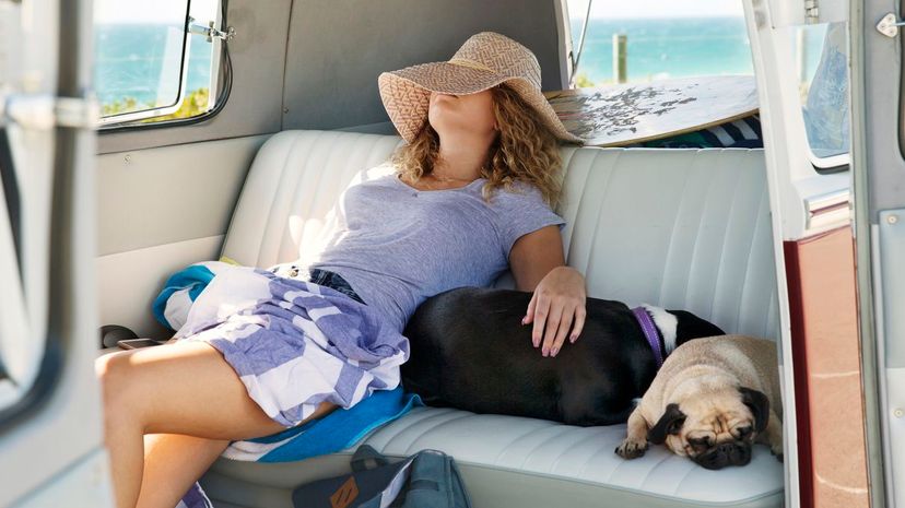Woman Nap Van