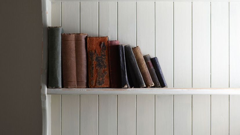 31-Book-Shelf