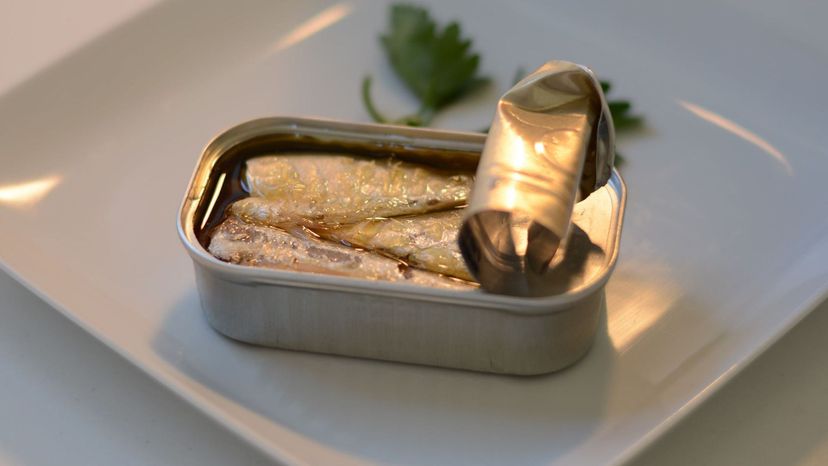 tin of sardines