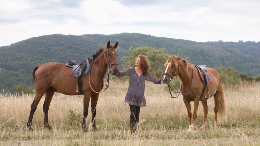 2 horses GettyImages-108354061